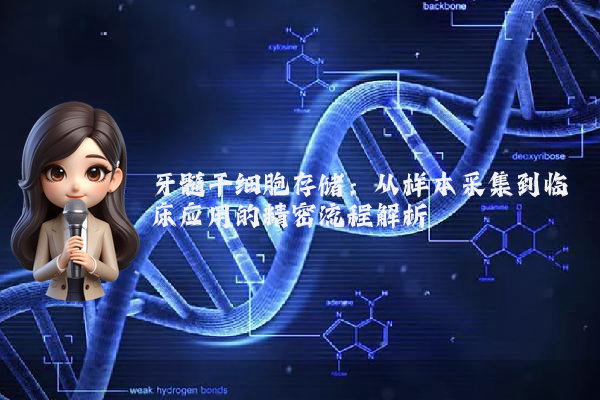 牙髓干细胞存储：从样本采集到临床应用的精密流程解析